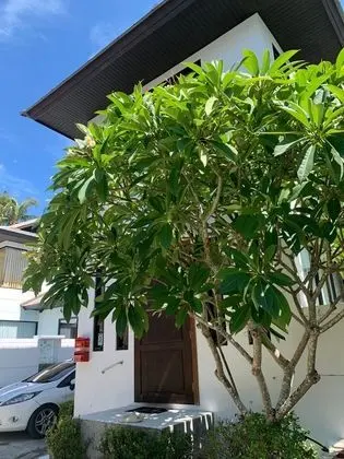 3 Bedroom Villa SDV261- Walk to Beach-By Samui Dream Villas - Dış Mekan