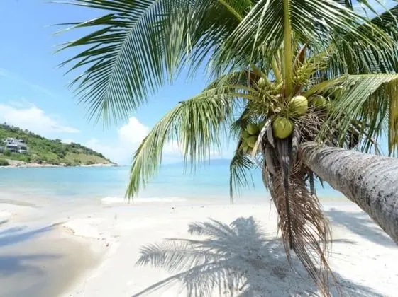 3 Bedroom Villa TG40 on beachfront resort SDV286-By Samui Dream Villas