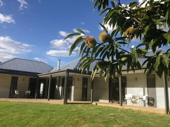 3 Bells Alpine Cottage