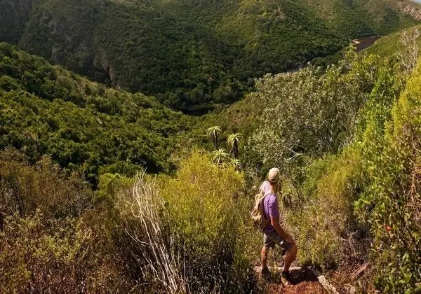 3 Village Heights - Dış Mekan