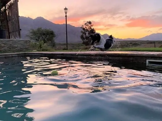 360on62 Mountain View Farm Cottages - Havuz