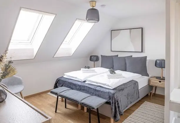 3BDR apartment with Sky roof-Zurich West