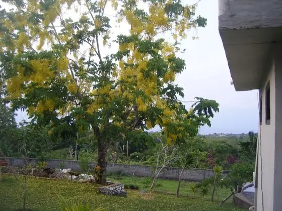 3D Home Stay - Dış Mekan