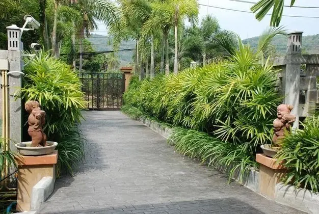 4 Houses Boutique Resort Phuket - Dış Mekan
