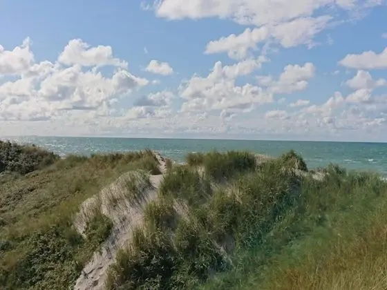 4 Person Holiday Home in Blokhus - Genel