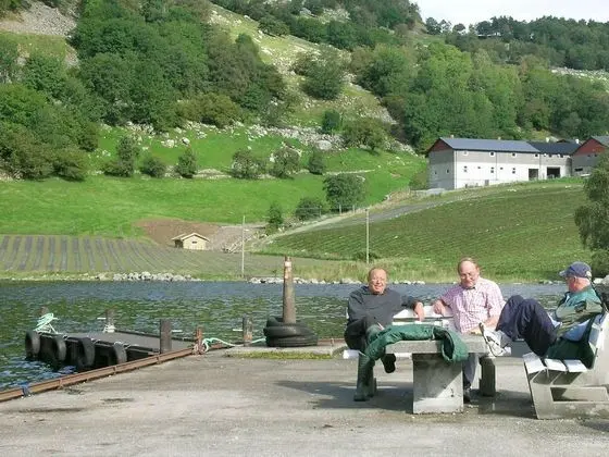 4 Person Holiday Home in Fister - Genel
