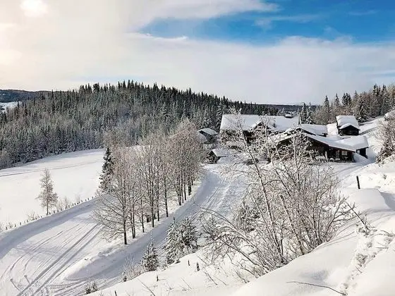 4 Person Holiday Home in Hemsedal