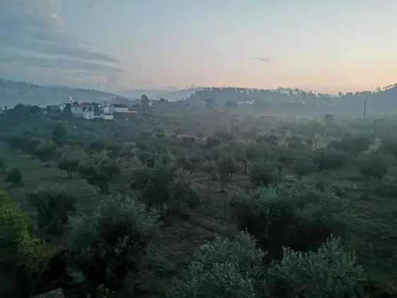 400 Year old 3-bedroom Farmhouse Central Portugal - Genel