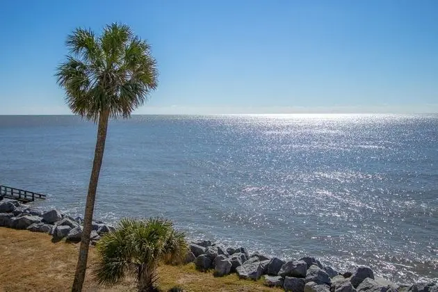 407 Ocean Point Lane - Plaj