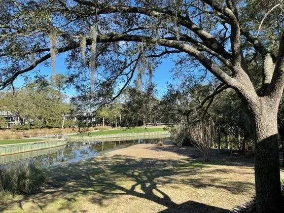 42 N. Sea Pines Drive at The Sea Pines Resort - Genel