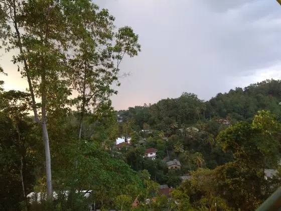 43 Homestay