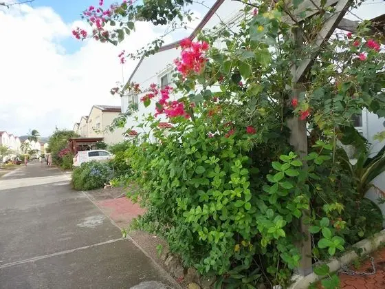 Villa 433D at Jolly Harbour