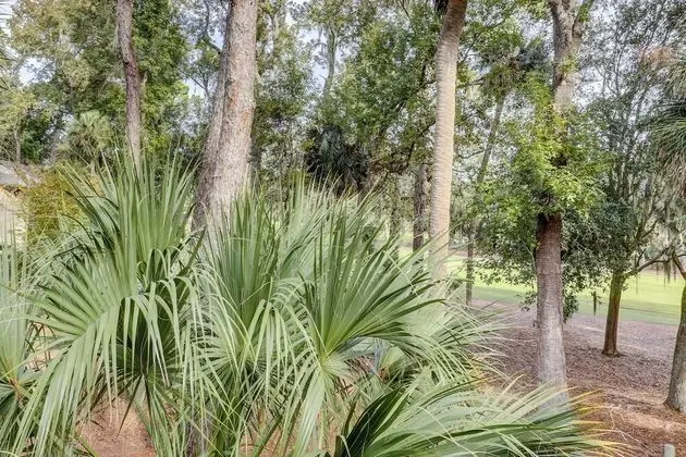 490 Plantation Club at The Sea Pines Resort - Dış Mekan