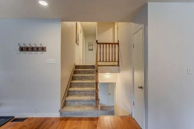 4BR Mountain Getaway Pikes Peak, Dog-friendly! - İç Mekan