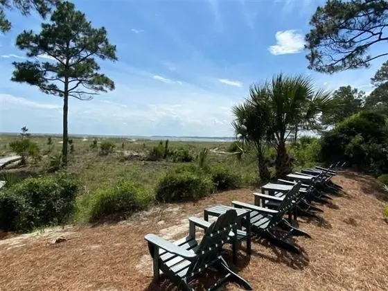 5 Black Duck at The Sea Pines Resort - Plaj
