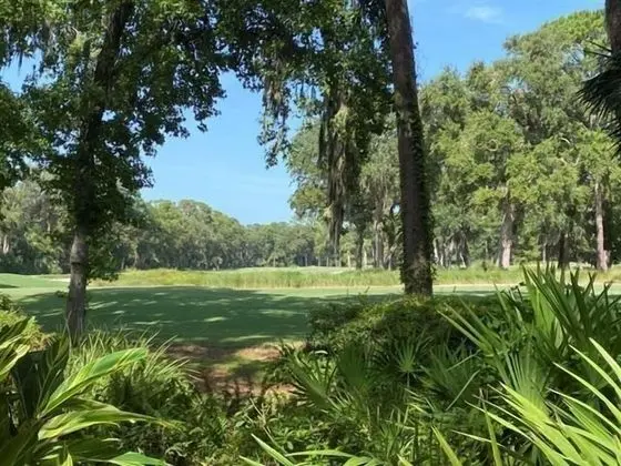 509 Plantation Club at The Sea Pines Resort - Dış Mekan