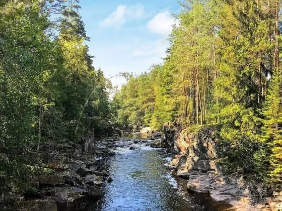 51 Person Holiday Home in BOE Telemark - Genel