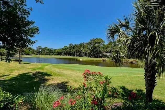 547 Ocean Course at The Sea Pines Resort - Dış Mekan