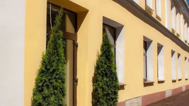 Hotel 55 - Dış Mekan