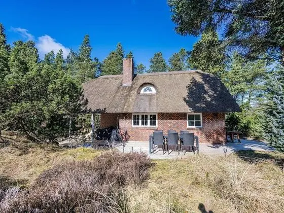 6 Person Holiday Home on a Holiday Park in Blåvand