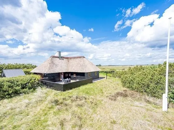 6 Person Holiday Home on a Holiday Park in Blåvand