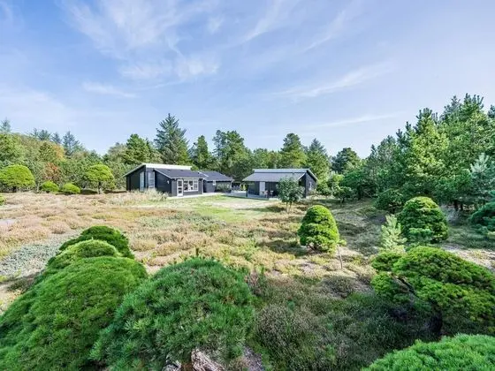 6 Person Holiday Home on a Holiday Park in Blåvand