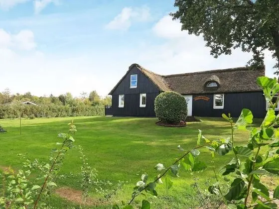 6 Person Holiday Home in Farsø