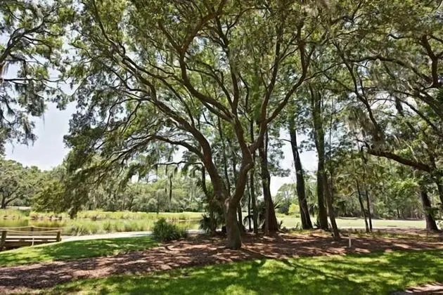 66 Fairway Lane at The Sea Pines Resort - Dış Mekan