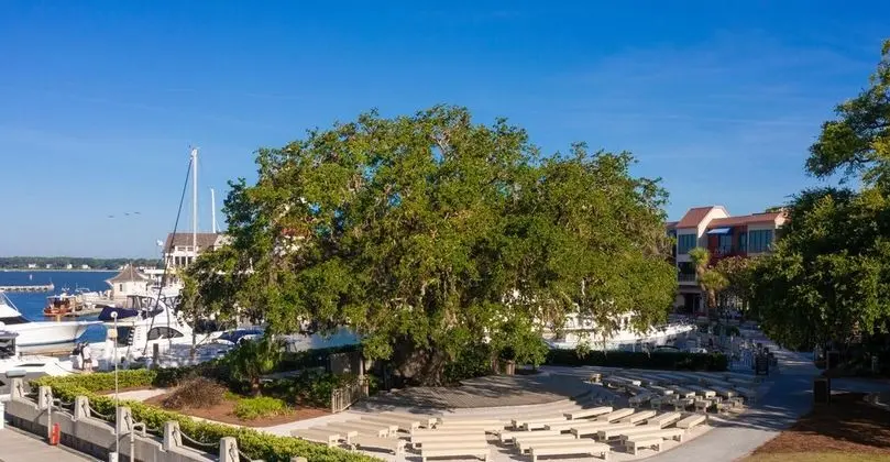 6959 Fairway One at The Sea Pines Resort - Dış Mekan