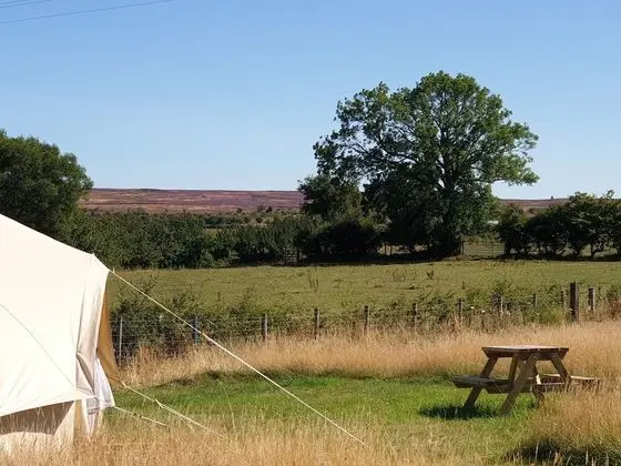 6m Bell Tent With log Burner, Located Near Whitby