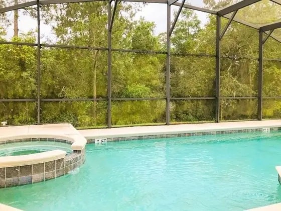 7 Bedrooms in Large Private Vacation Home by Florida Dream Homes - Havuz