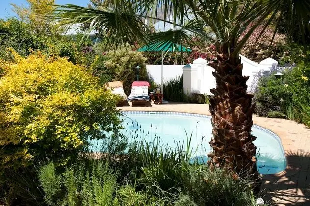 7 Church Street Guest House - Havuz