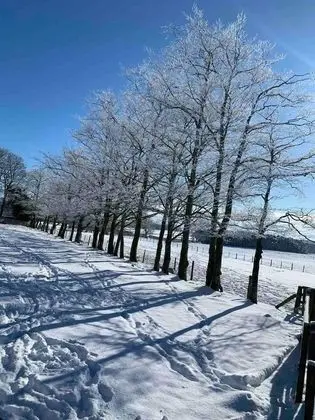 8 Fenton Hill Farm Cottage - Dış Mekan