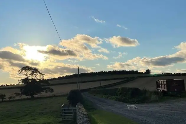 8 Fenton Hill Farm Cottage - Genel