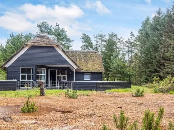 8 Person Holiday Home on a Holiday Park in Nørre Nebel