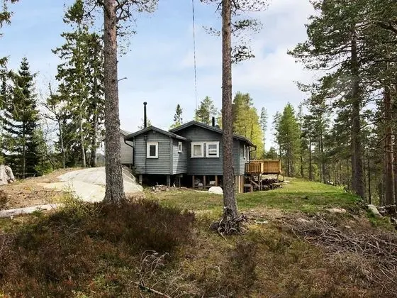 8 Person Holiday Home in Åseral