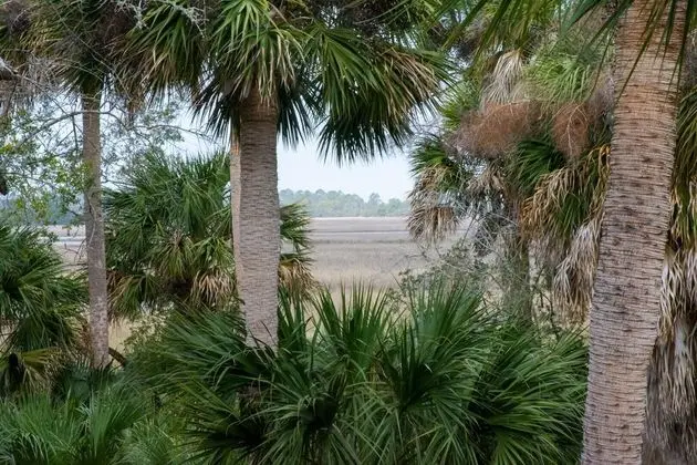 875 Salt Cedar Ln-laguna - Dış Mekan