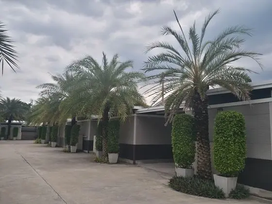 The 9 Resort