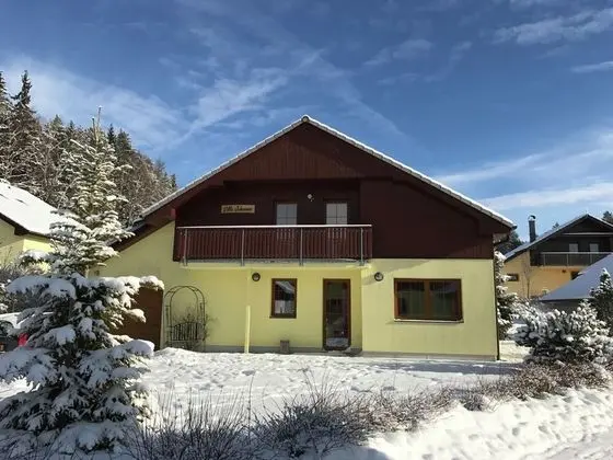 A Beautiful Villa at the Lipno Lake With ski Pistes at Walking Distance