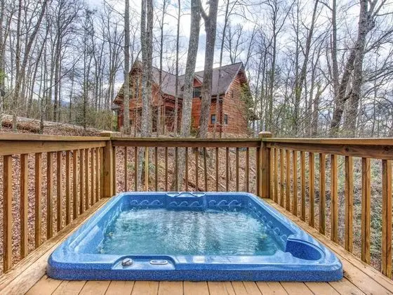 A Dream Tonight by Jackson Mountain Homes - Havuz