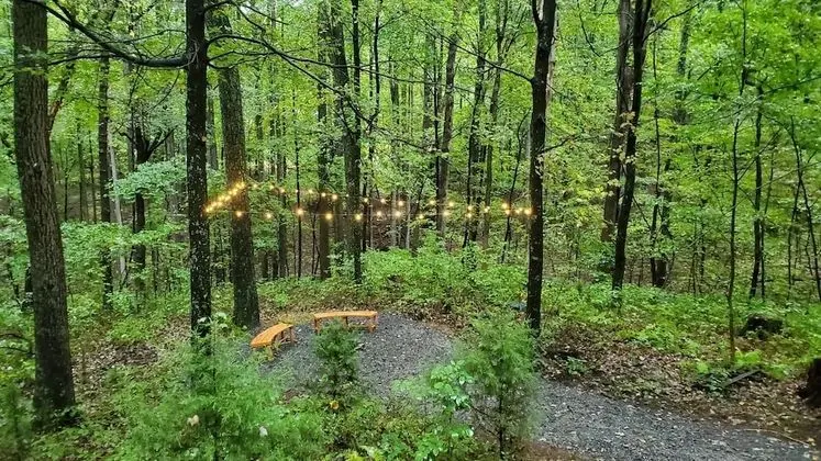 A Humble Abode Cabin - A Modern Woodsy Retreat - Dış Mekan