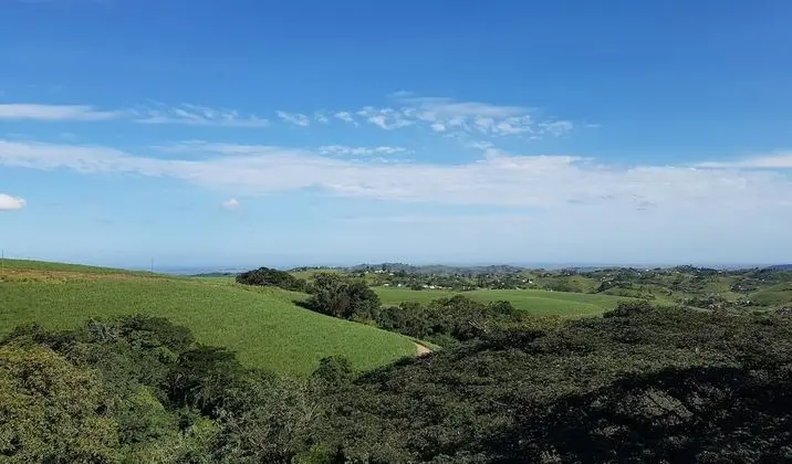 A Kings View