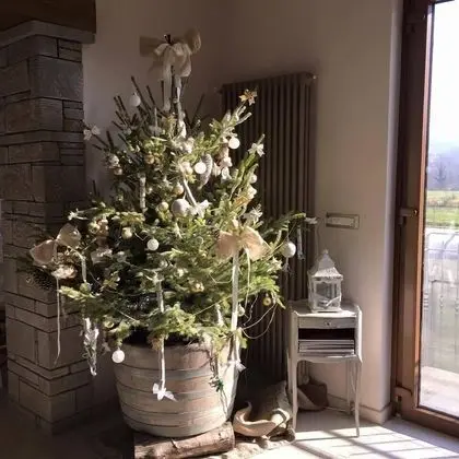 A Modo Mio Agriturismo - İç Mekan