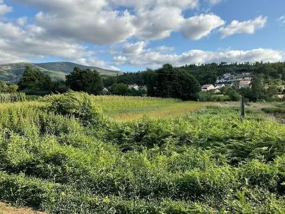 A Pequena Casa in Coja in Countryside, Portugal - Dış Mekan
