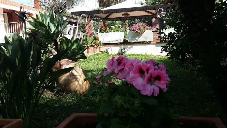 A Real Oasis In The City,