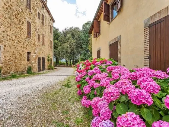 A Recently Renovated Countryhouse - Dış Mekan