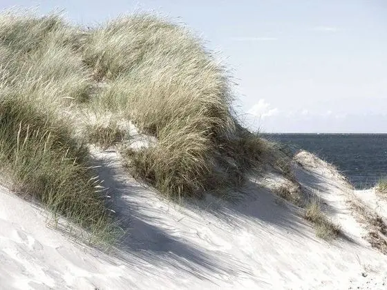 A-ROSA Sylt - 1