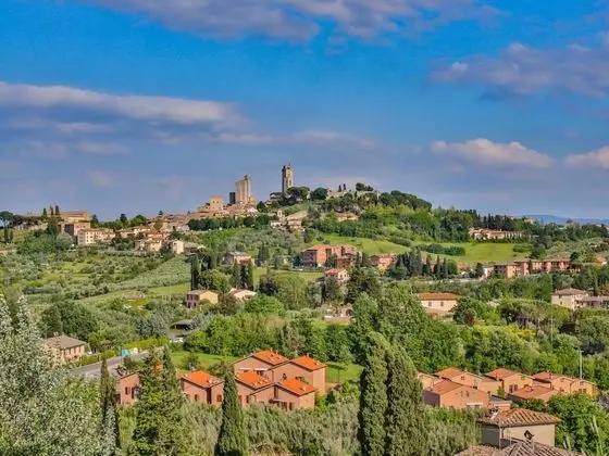 Hotel a San Gimignano ID 3911