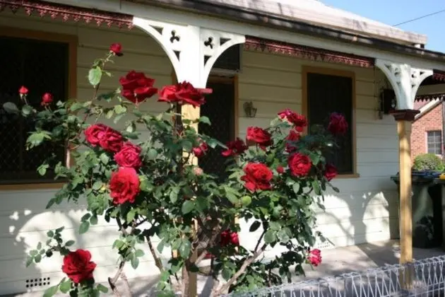 A Settlers Cottage Accommodation
