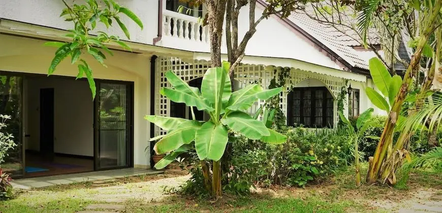 A Taste of Europe in Chiang Mai - Dış Mekan